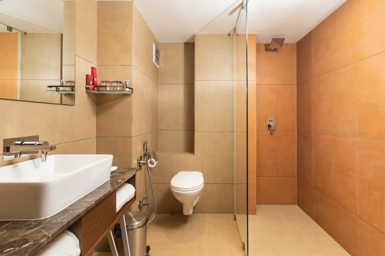  Ramee International Hotel, Surat - Premium King Room - gallery image 3